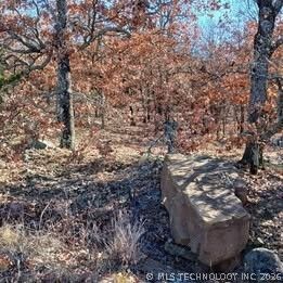 Property Photo:  1 Mile Road  OK 74462 