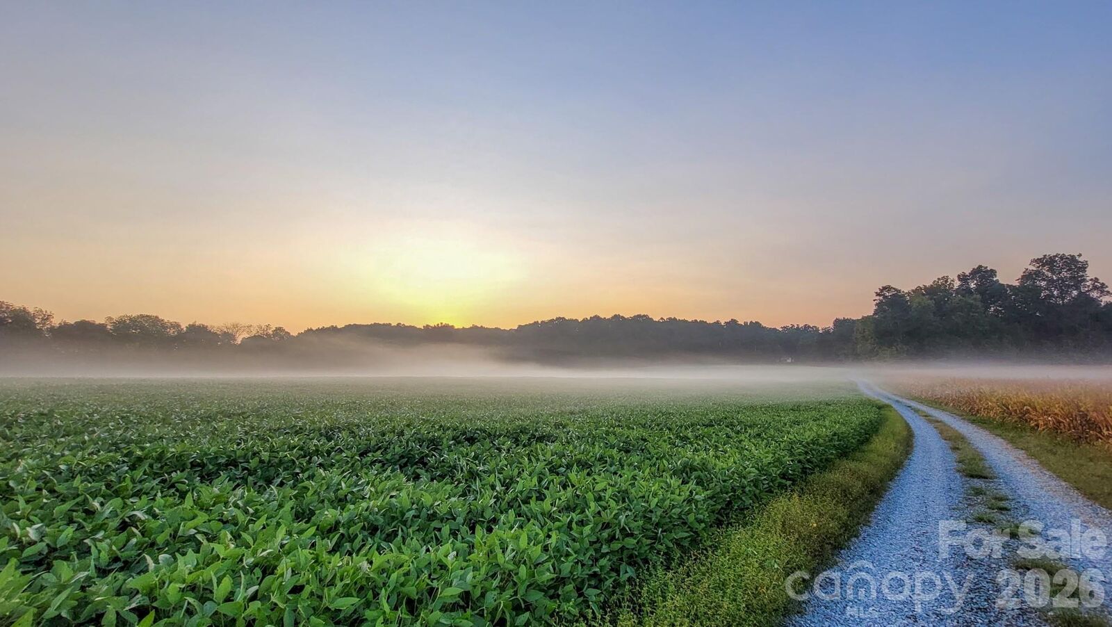 Property Photo:  7908 Concord Highway  NC 28110 
