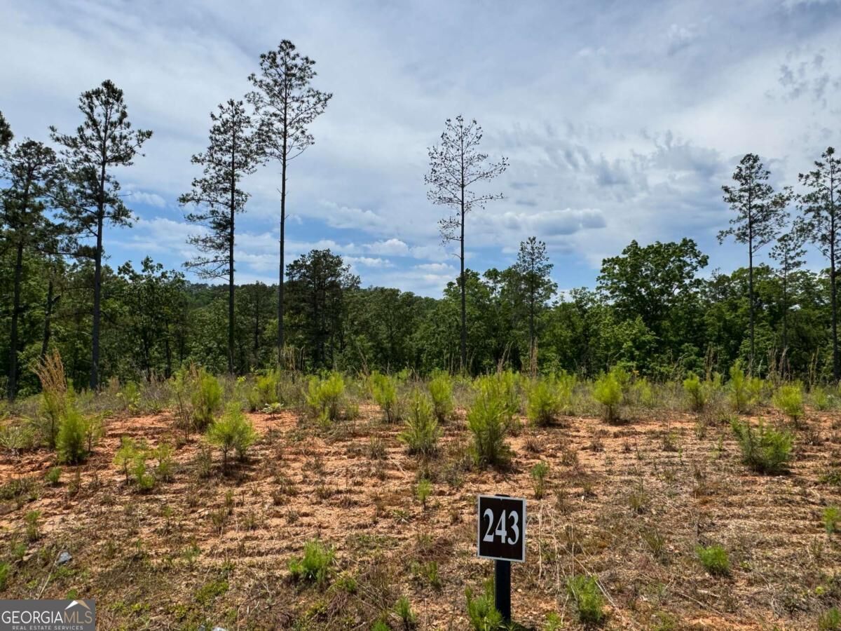 Property Photo:  Lot 243 Spear Point Drive  GA 30175 