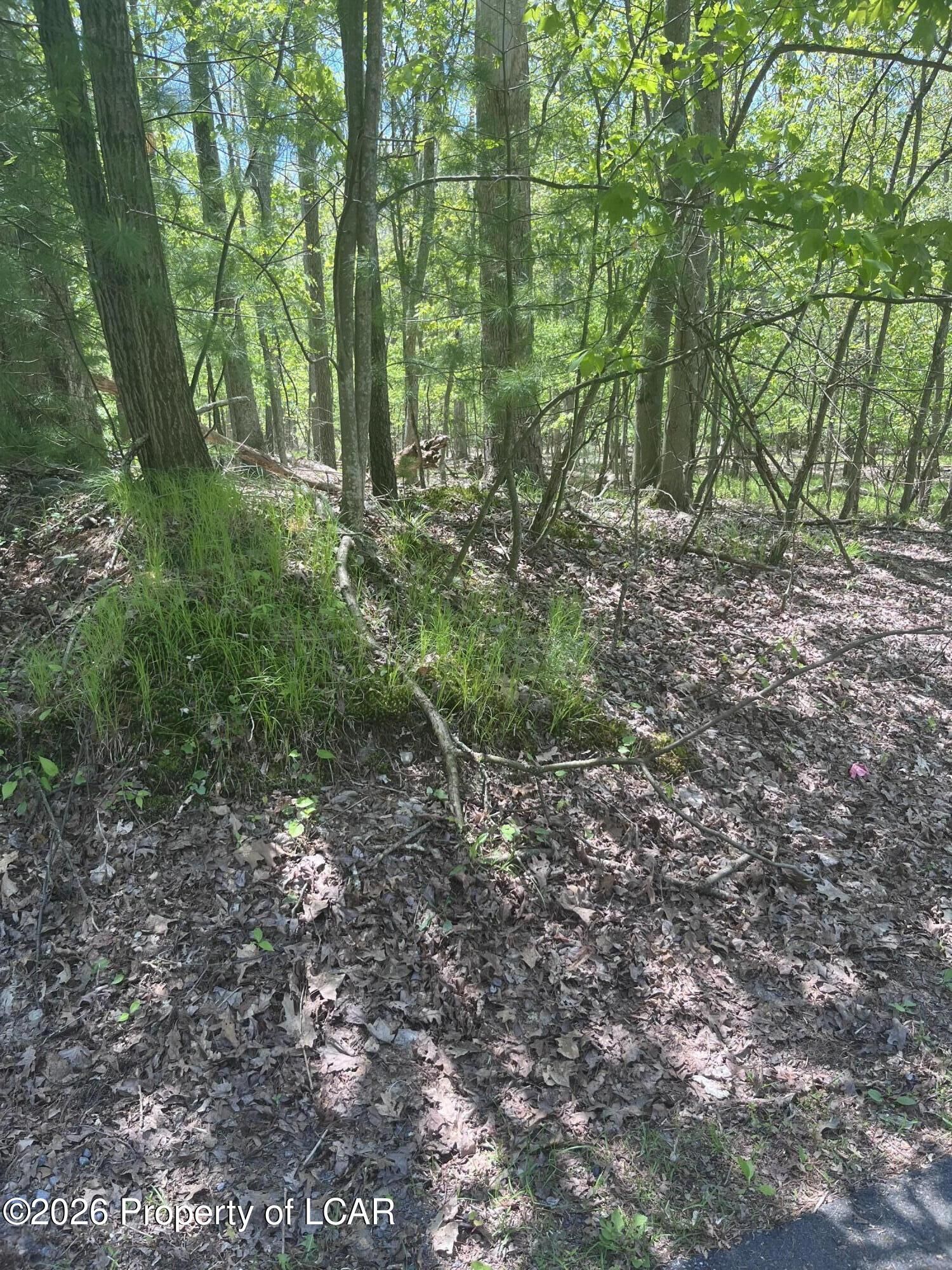 Property Photo:  Henry Drive  PA 18707 