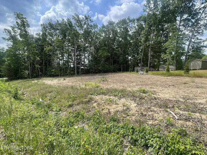 Property Photo: 186 Summerwind Drive TN 38571