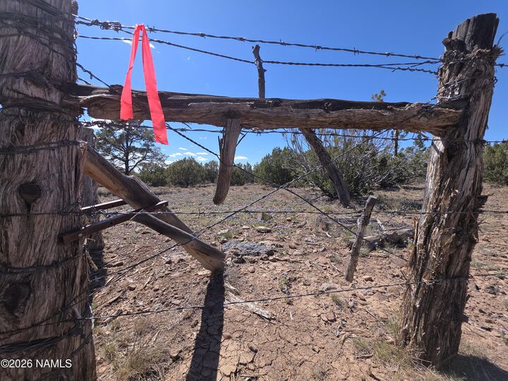 Property Photo:  11718 S Blackbird Way  AZ 86046 