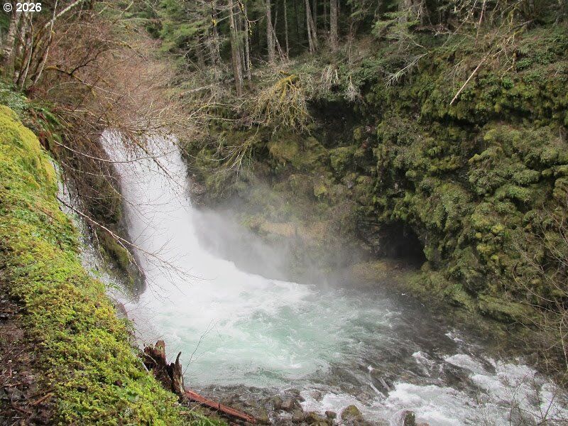 Property Photo:  39775 SE Kitzmiller Rd  OR 97022 