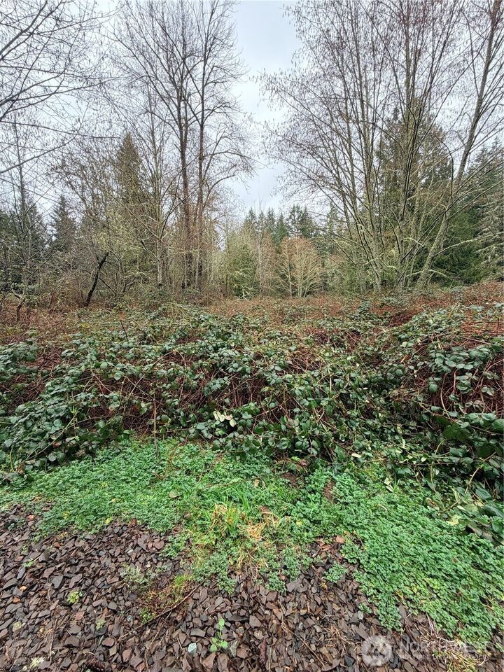 Property Photo:  0 Xxxx  238th Avenue NE  WA 98053 