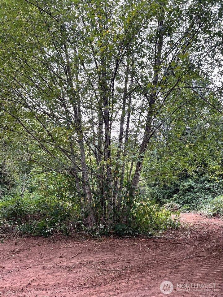 Property Photo:  0 Xxxx  238th Avenue NE  WA 98053 