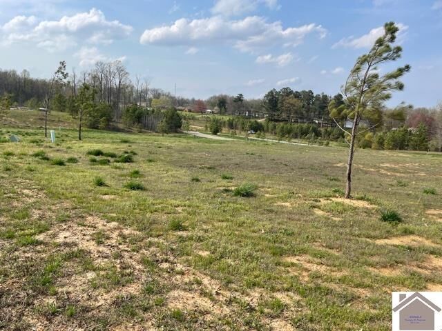 Property Photo: 230 Falling Brook Dr KY 42003