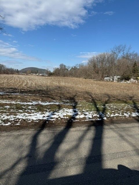Property Photo:  22 Brooks St, Lot A  NY 14883 