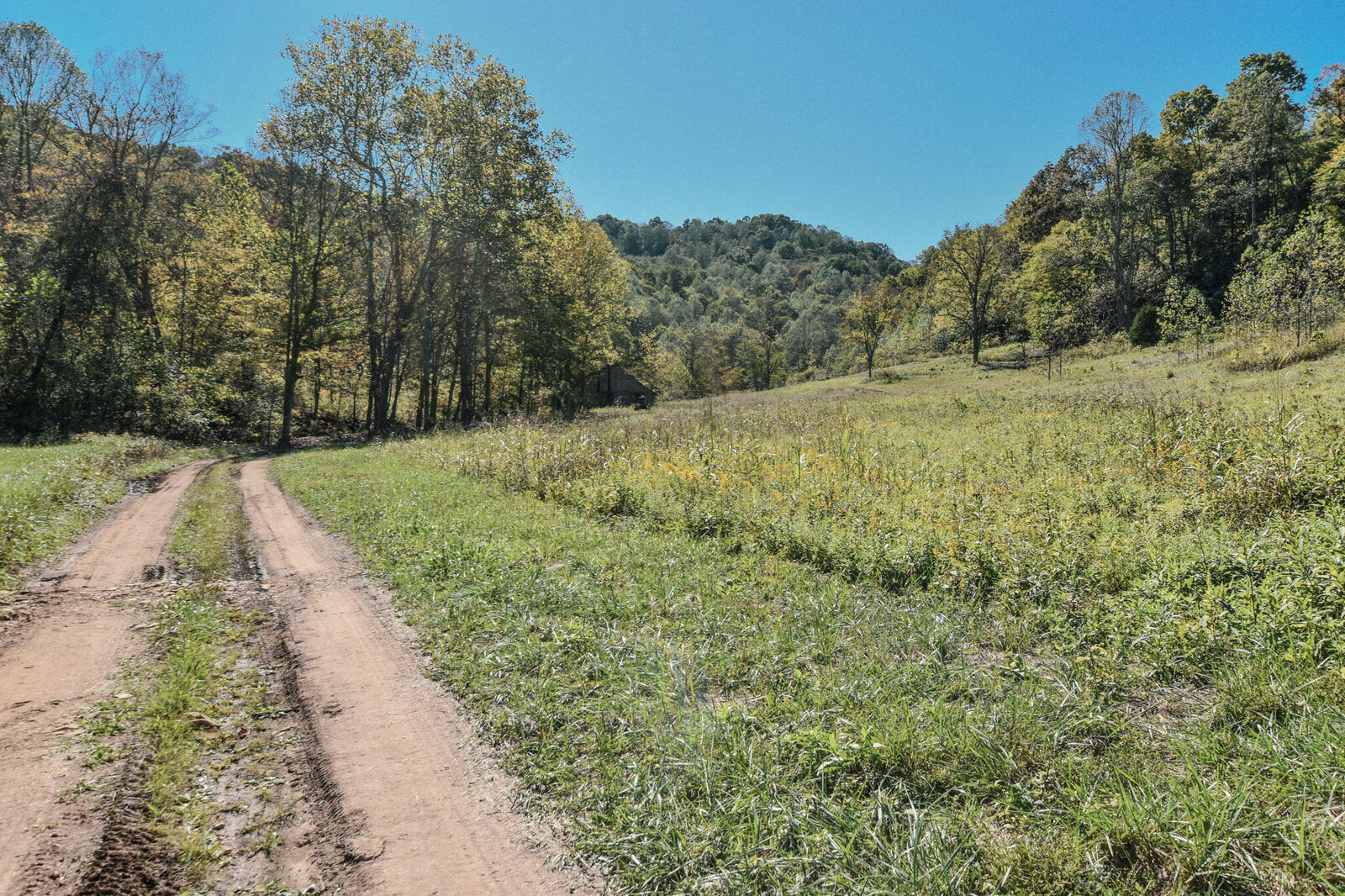 Property Photo:  601 Hackworth Hollow Road  KY 41179 