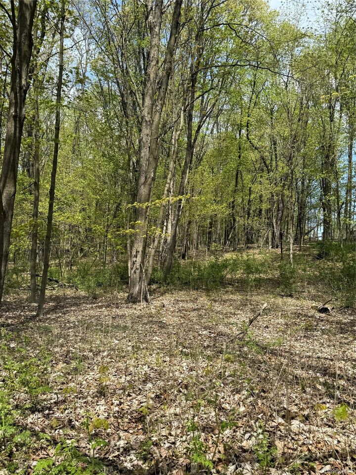 Property Photo:  120 Floyd Ackert Road  NY 12429 