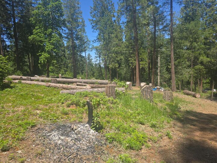 Property Photo:  12181 Robust Way  CA 95959 