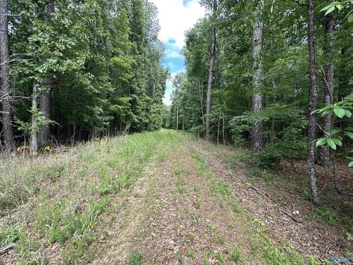 Property Photo: 243 Friendship Road AL 35906