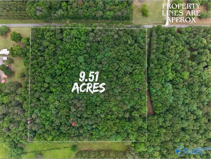 Property Photo:  243 Friendship Road  AL 35906 