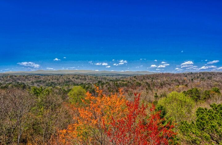Property Photo:  83 Ac Legion Road  GA 30540 