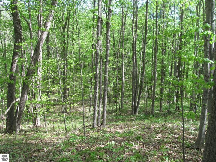 Property Photo:  0 M-115  MI 49688 