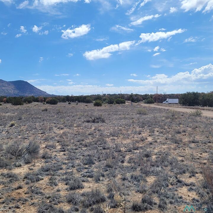 Property Photo: Xx (Lot 46) Southern Trail NM 87821-0000