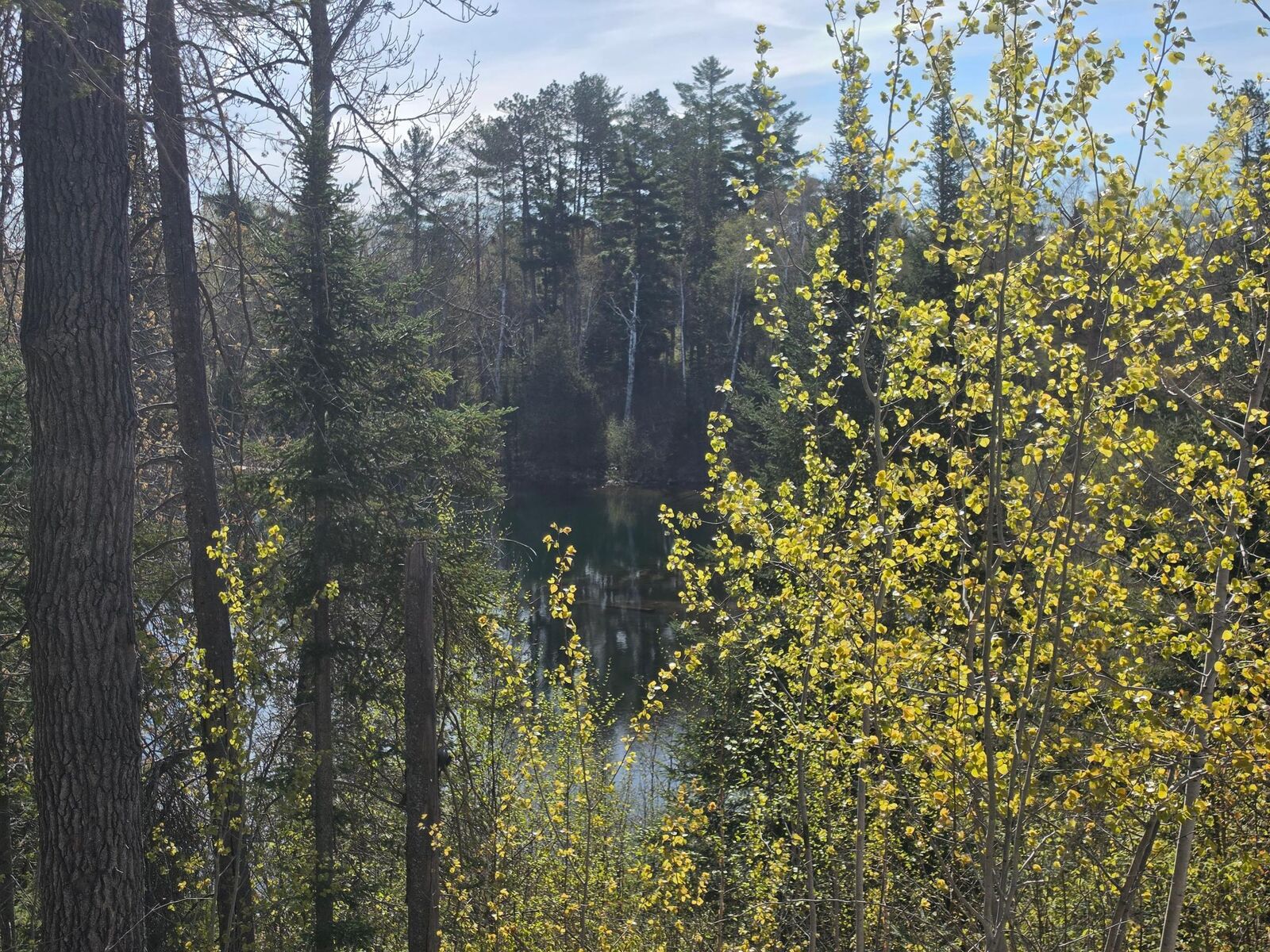 Property Photo: Tbd S Thunder Lake Drive NE MN 56672