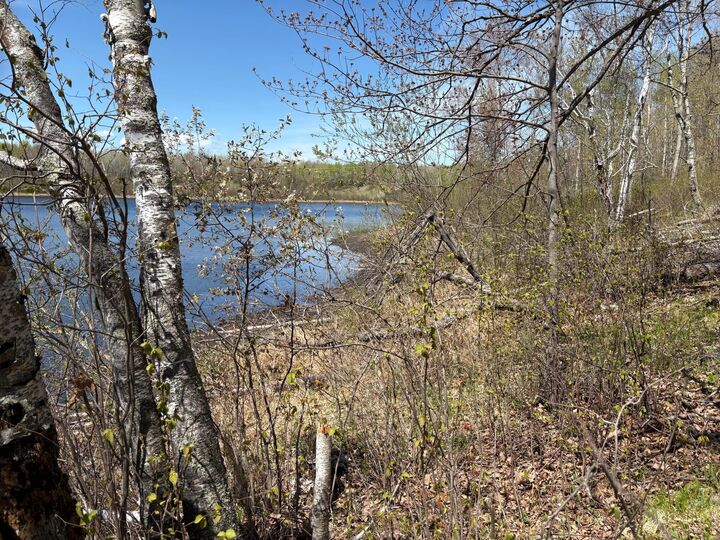 Property Photo:  854X W Chub Lake Rd  MN 55718 