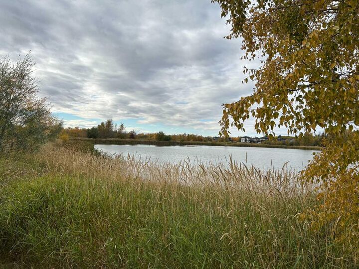 Property Photo: 9033 59 Avenue AB T8W 0K1