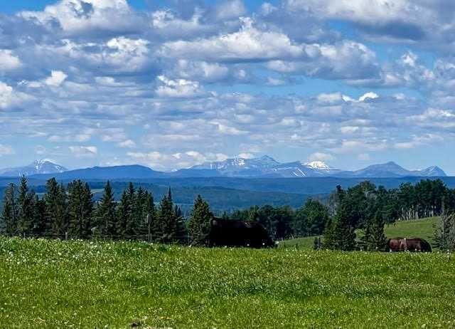 Property Photo: 33139 Range Road 55 10 AB T0M 1X0