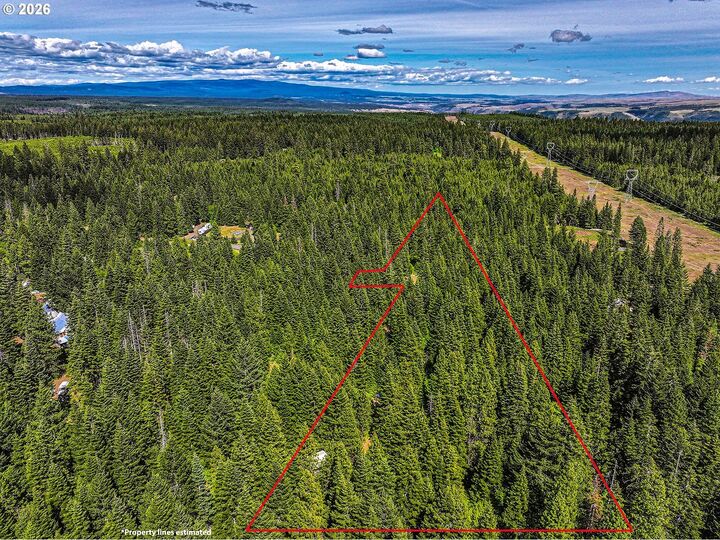 Property Photo:  20 Mountain Pine 6  WA 98602 