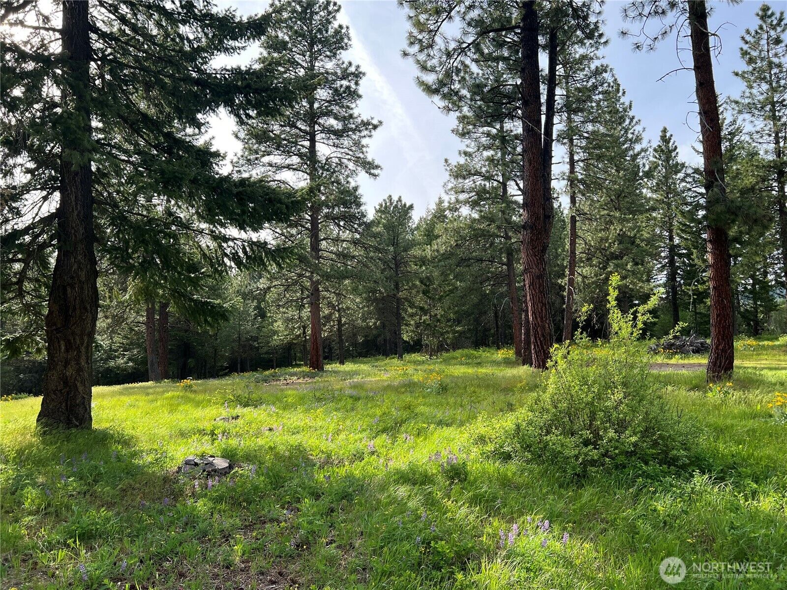 Property Photo:  740  Sun Ridge Drive  WA 98922 