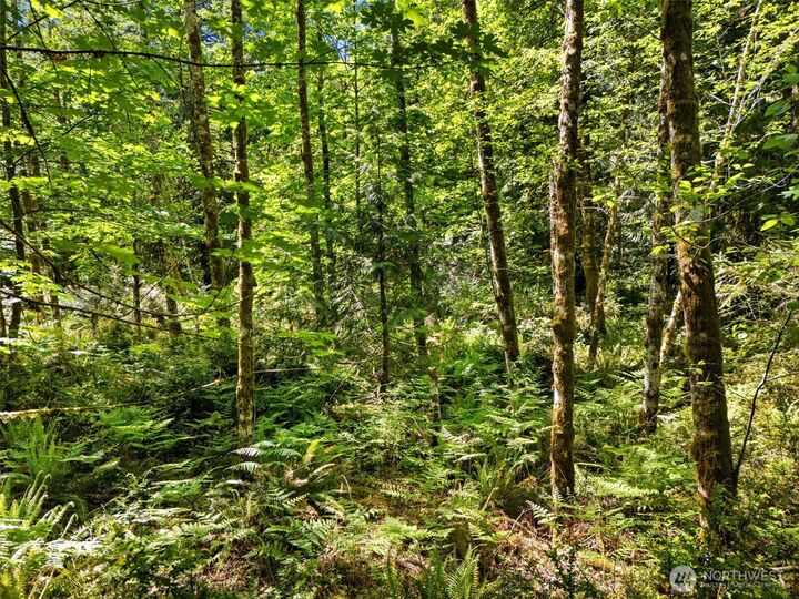 Property Photo:  0 Tr 15 E Jared Road  WA 98584 