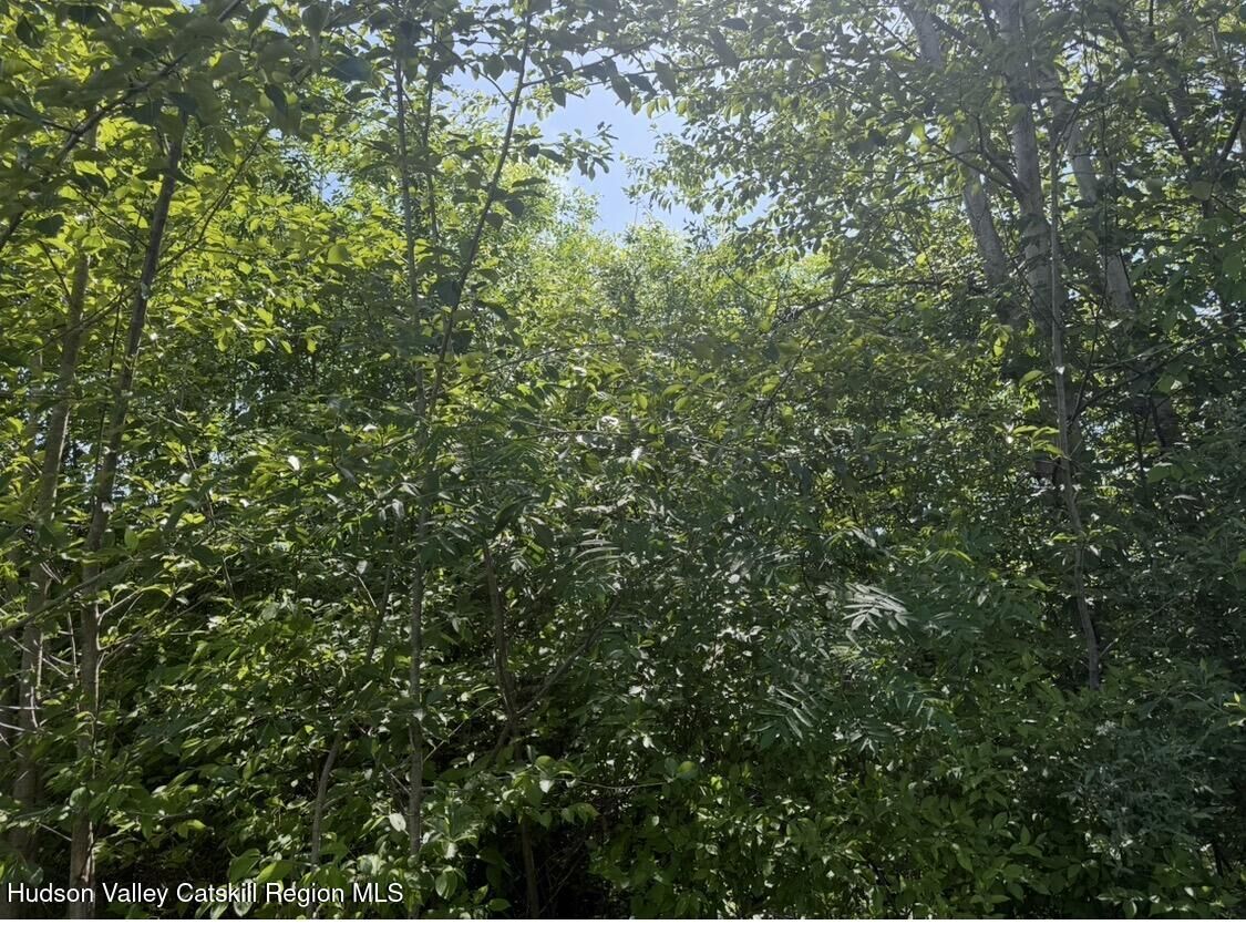 Property Photo:  Tbd Hawleys Corners  NY 12528 