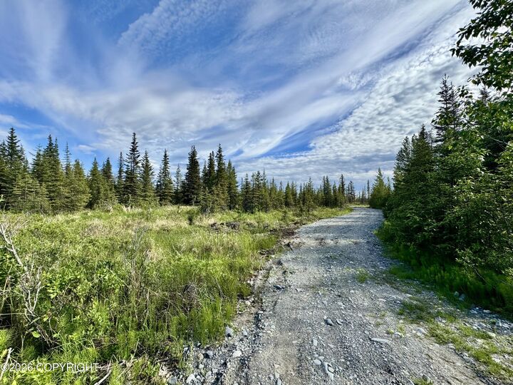 Property Photo:  34895 N Fork Road  AK 99556 