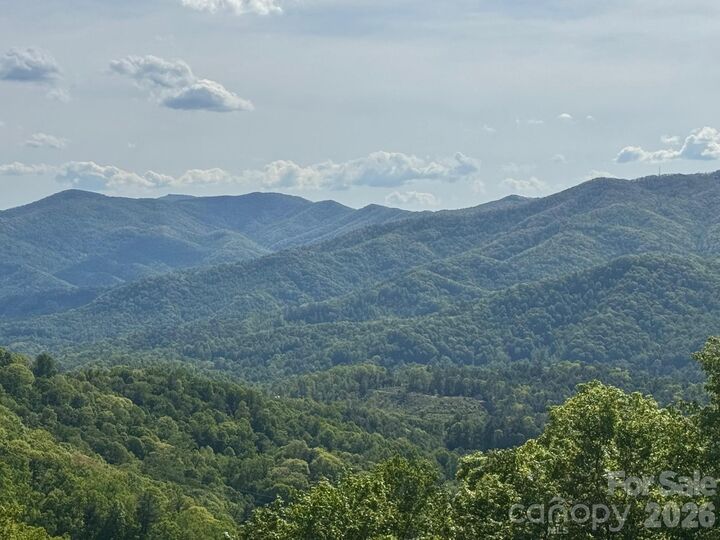 Property Photo:  686 Hyacinth Drive  NC 28721 