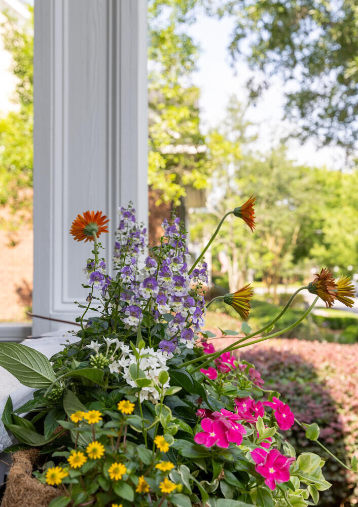 Property Photo:  609 Daggett Street  SC 29492 