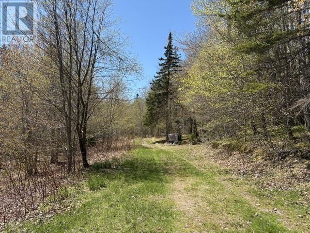 Property Photo:  Gillander Road  NS B0E 1B0 