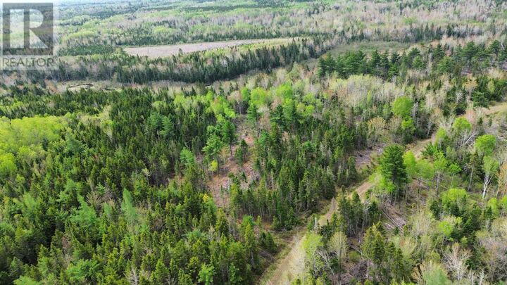 Property Photo:  V/L 204 Highway  NS B0M 1P0 