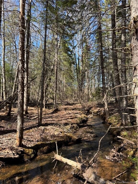 Property Photo:  Lot Route 905  NB E4Z 6C4 