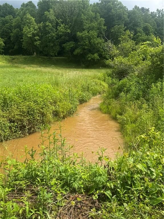 Property Photo:  00 Tails Creek Rd  GA 30540 