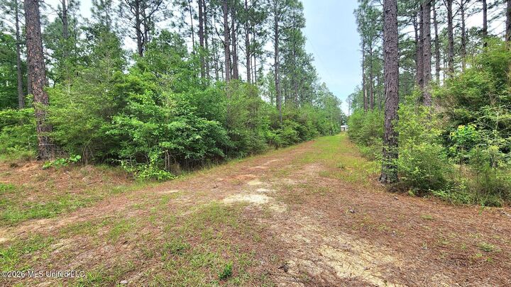 Property Photo:  3 Guillen Drive  MS 39470 