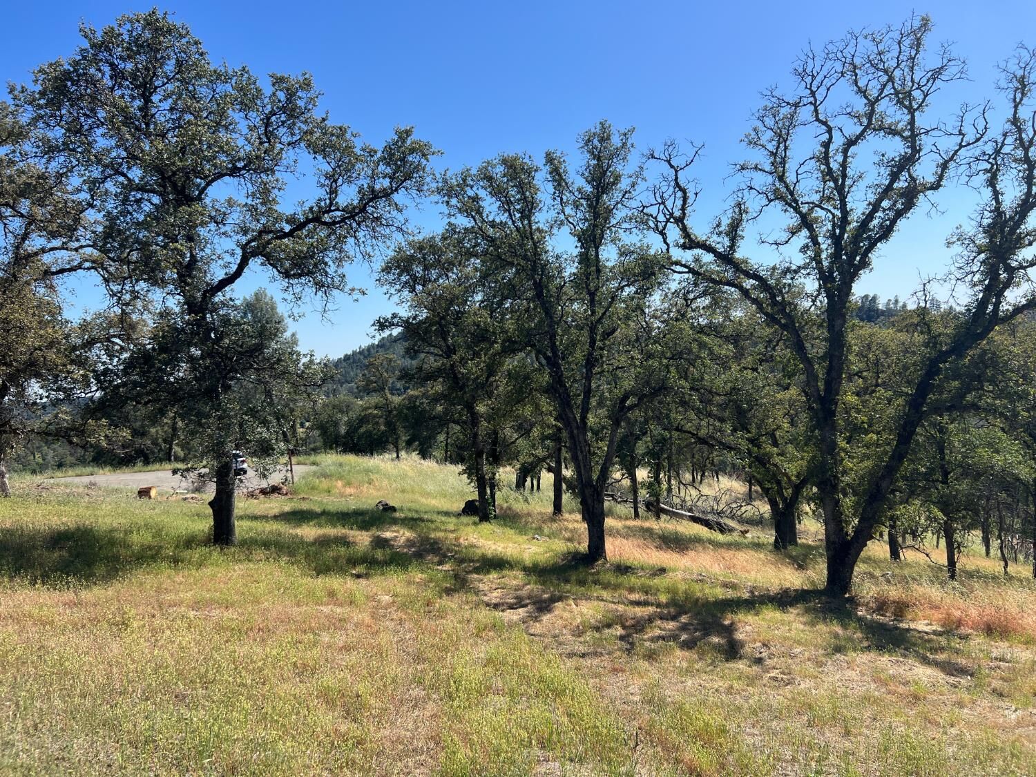 Property Photo:  21 Strongbox Court  CA 95918 