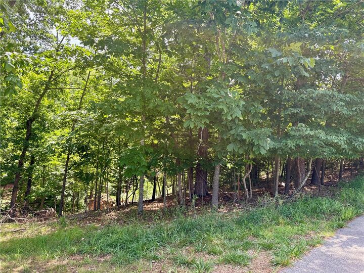 Property Photo:  Lot 33,34,35 Acapulco Drive  AR 72756 