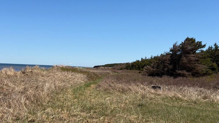 Property Photo:  Lot Dune Road  PE C0B 2B0 