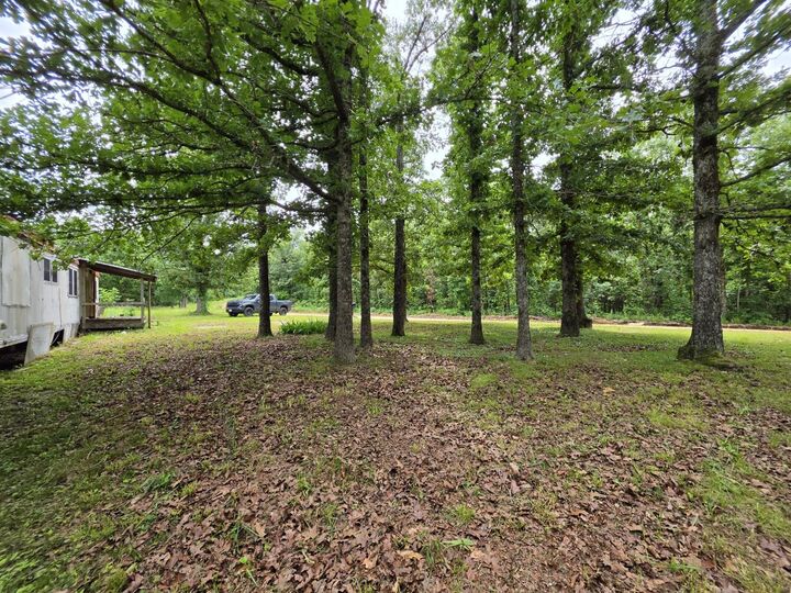 Property Photo:  295 Black Oak Road  AR 72554 
