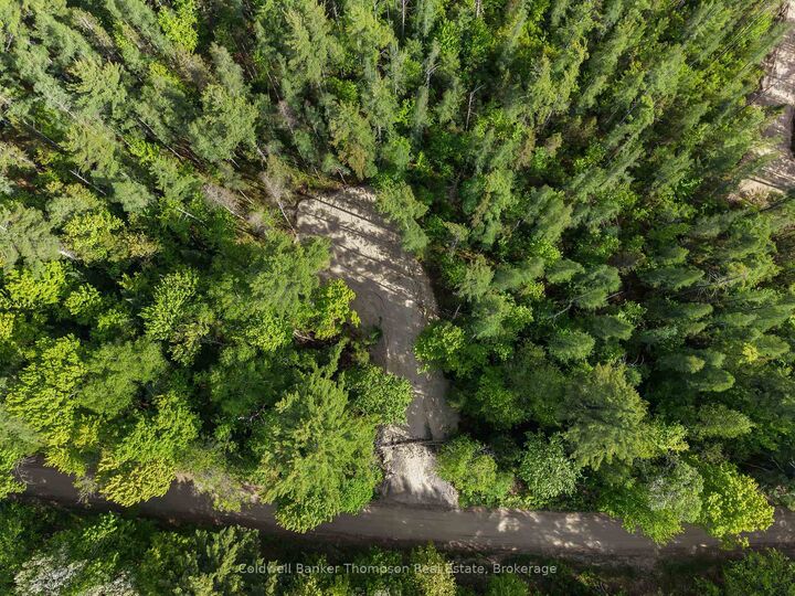 Part 6 Axe Lake Road — photo 1
