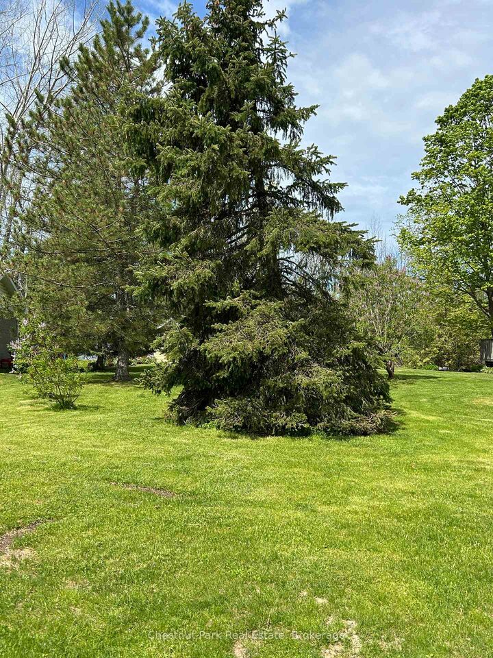Property Photo:  13 Pollard Drive  ON N4L 1A7 