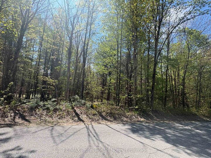 Property Photo:  429 Britannia Road  ON P1H 2J3 