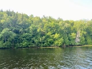 Property Photo:  Lot 13-A Little Long N/A  ON P0H 1S0 