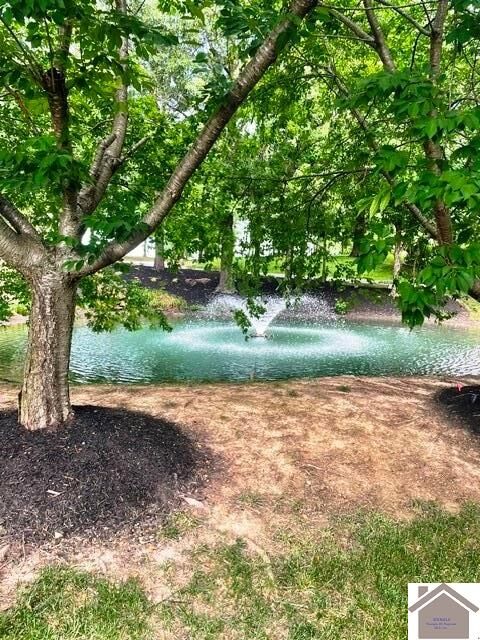 Property Photo: 225 Hidden Valley Dr KY 42003