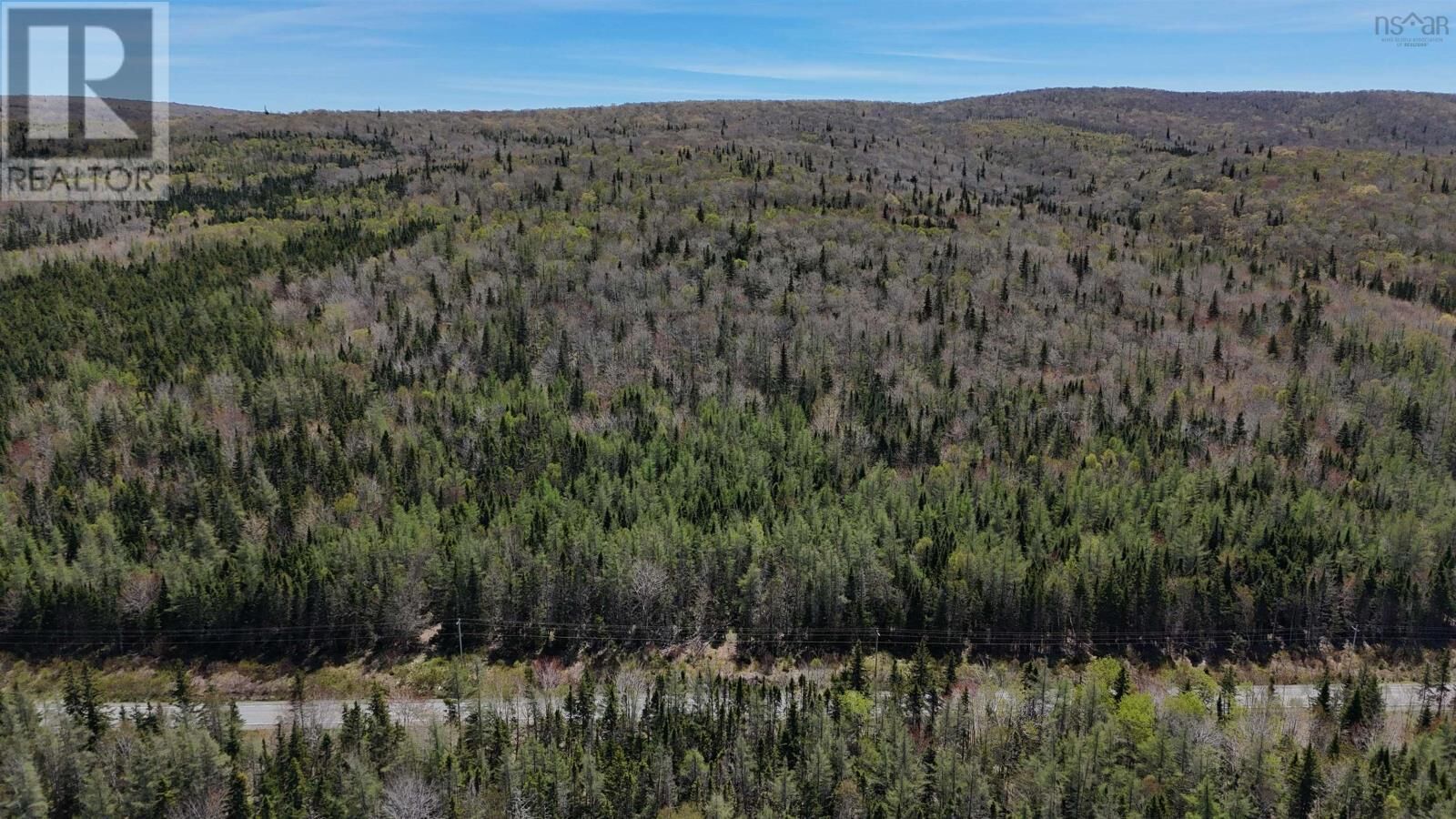 Property Photo:  Highway 252 (99ac)  NS B0E 1X0 