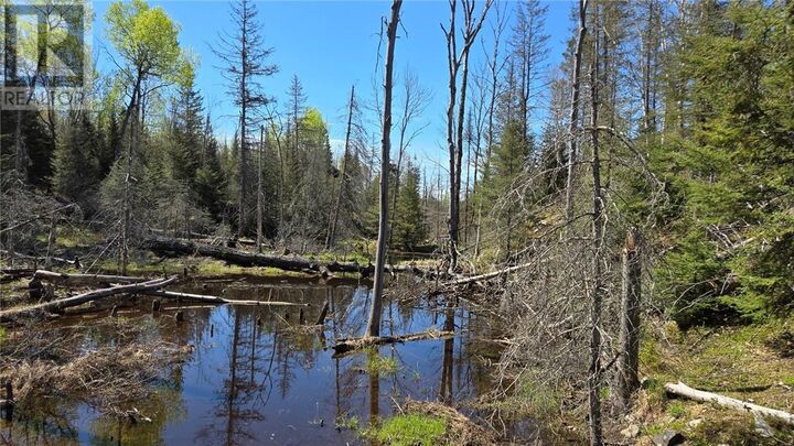 Property Photo:  Lot 6 Con 3 Rabbit Trail Road  ON P0H 2N0 
