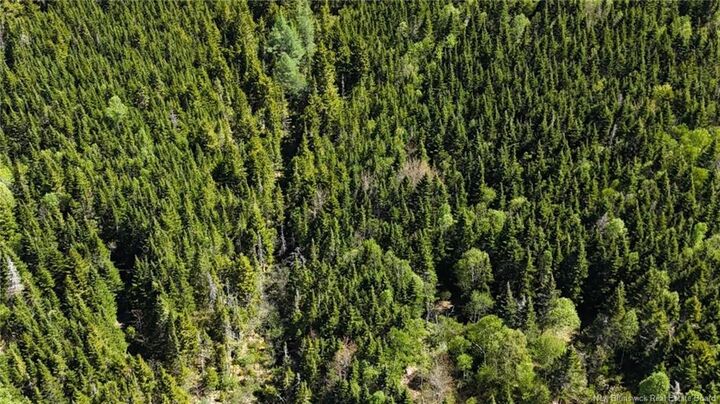 Property Photo:  Lot Otter Lake Road  NB E2S 2N8 