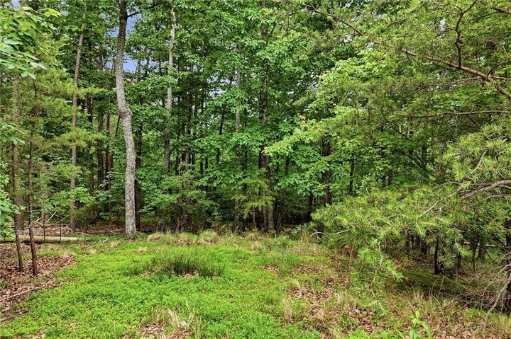 Property Photo: 0 Owl Ridge Way GA 30143