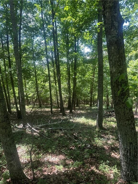 Property Photo:  0 Owl Ridge Way  GA 30143 