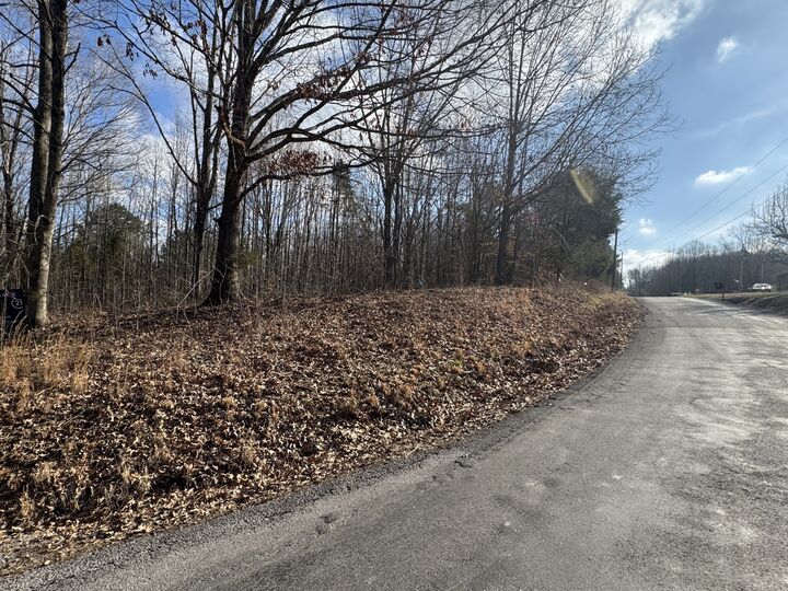 Property Photo: 0 Crestview Dr TN 37028